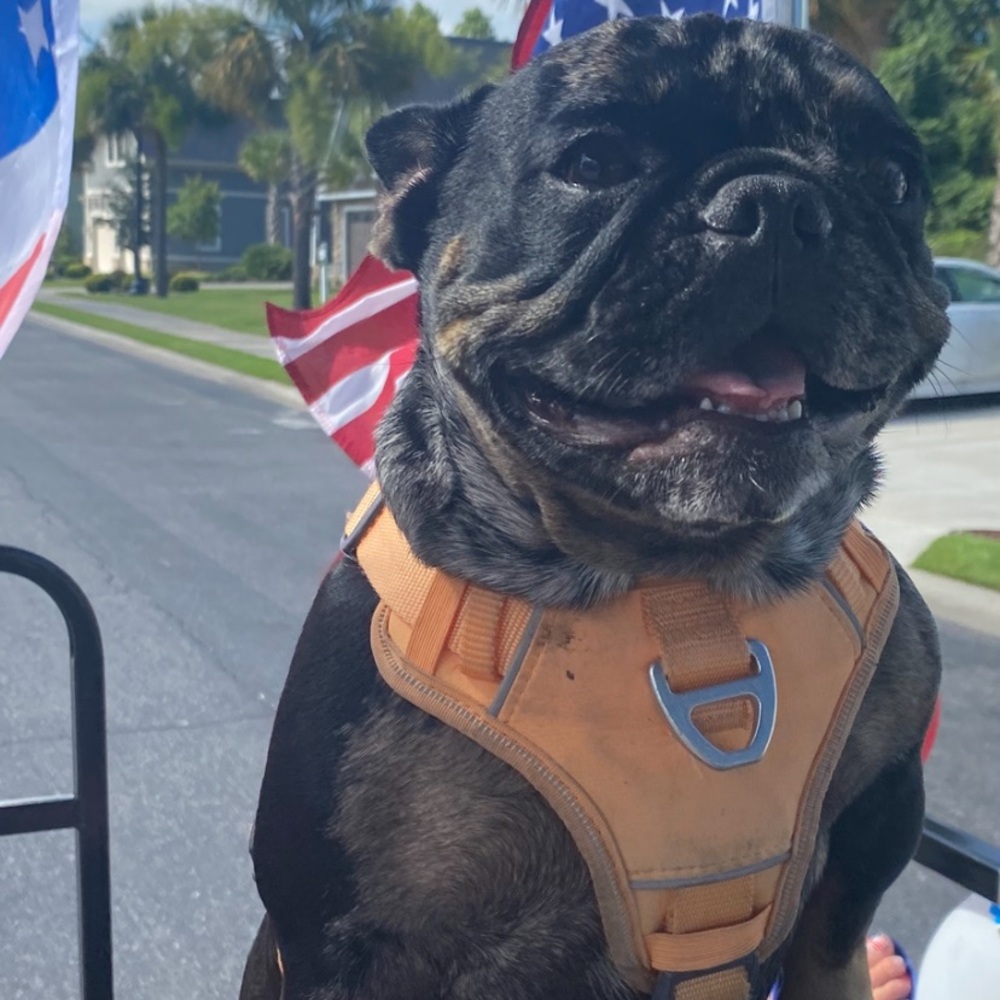 Offers welcome for ALL listings in my closet !